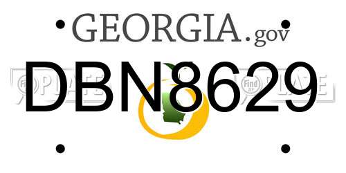 DBN8629 Georgia License Plate