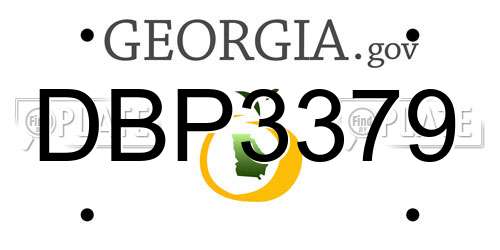 DBP3379 Georgia License Plate