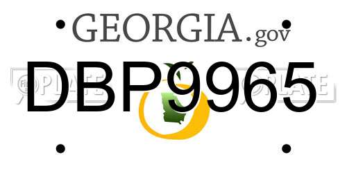DBP9965 Georgia License Plate