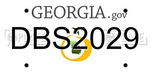 DBS2029 Georgia License Plate