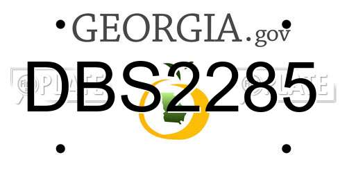 DBS2285 Georgia License Plate