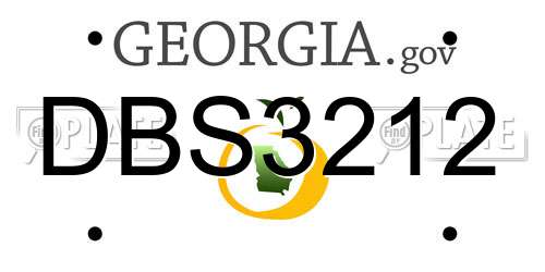 DBS3212 Georgia License Plate