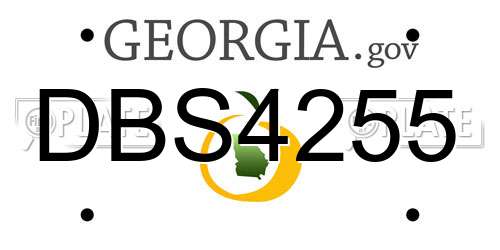 DBS4255 Georgia License Plate