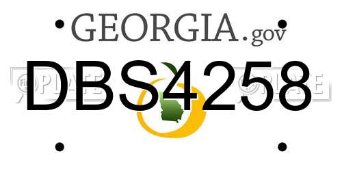 DBS4258 Georgia License Plate