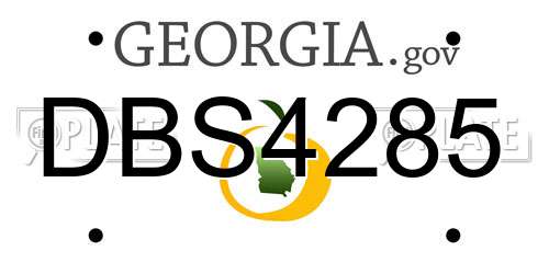 DBS4285 Georgia License Plate