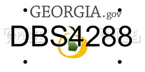 DBS4288 Georgia License Plate