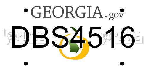 DBS4516 Georgia License Plate