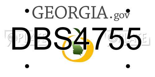 DBS4755 Georgia License Plate