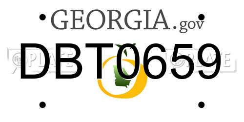 DBT0659 Georgia License Plate