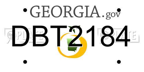 DBT2184 Georgia License Plate