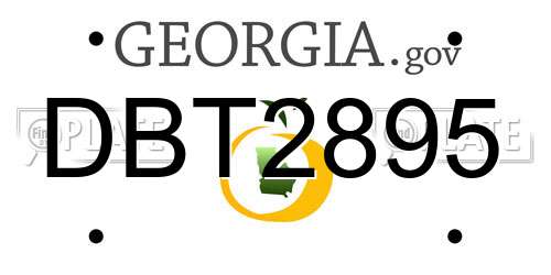 DBT2895 Georgia License Plate