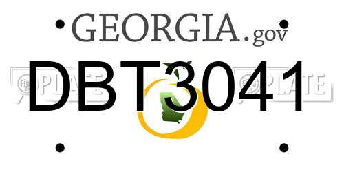 DBT3041 Georgia License Plate