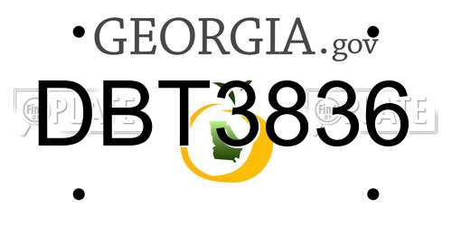 DBT3836 Georgia License Plate