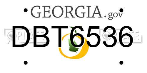 DBT6536 Georgia License Plate