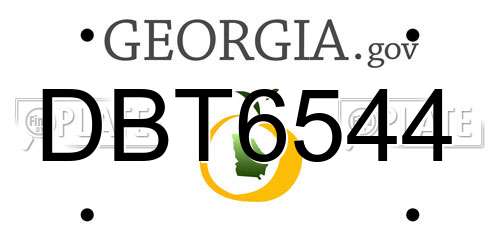 DBT6544 Georgia License Plate