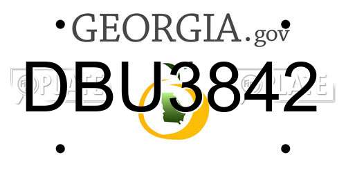 DBU3842 Georgia License Plate