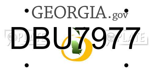 DBU7977 Georgia License Plate
