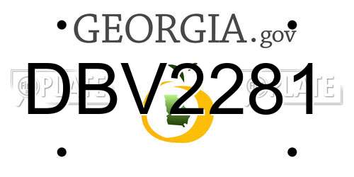 DBV2281 Georgia License Plate