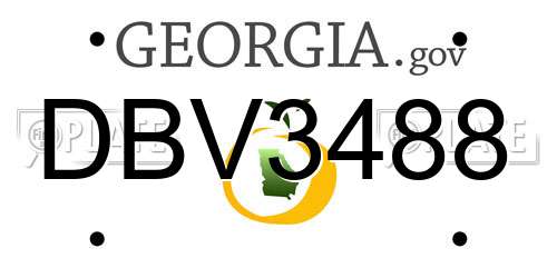 DBV3488 Georgia License Plate