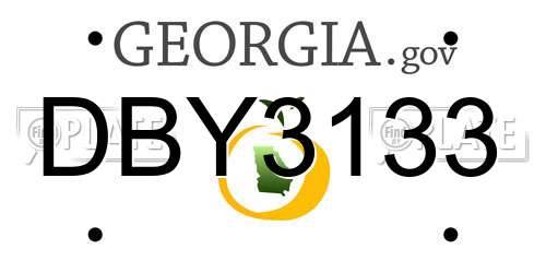 DBY3133 Georgia License Plate
