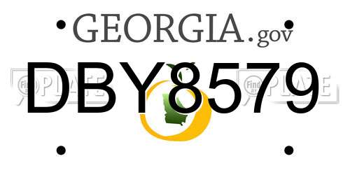 DBY8579 Georgia License Plate