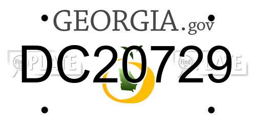 DC20729 Georgia License Plate