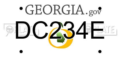DC234E Georgia License Plate