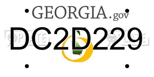 DC2D229 Georgia License Plate