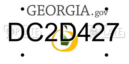 DC2D427 Georgia License Plate