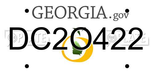 DC2O422 Georgia License Plate