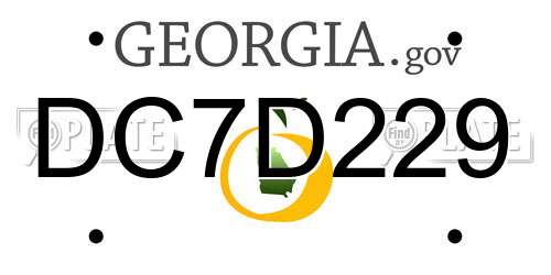 DC7D229 Georgia License Plate