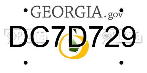 DC7D729 Georgia License Plate