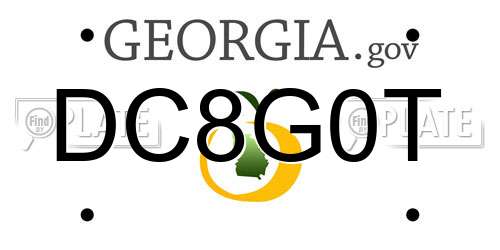 DC8G0T Georgia License Plate