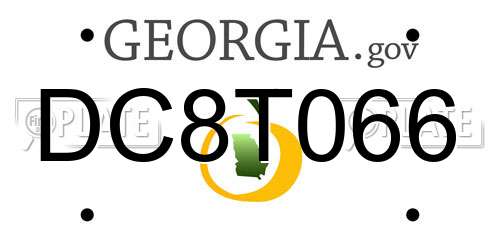 DC8T066 Georgia License Plate
