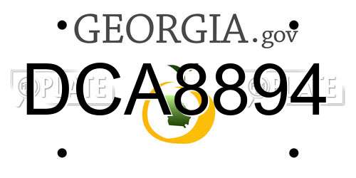 DCA8894 Georgia License Plate