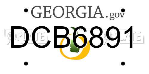 DCB6891 Georgia License Plate