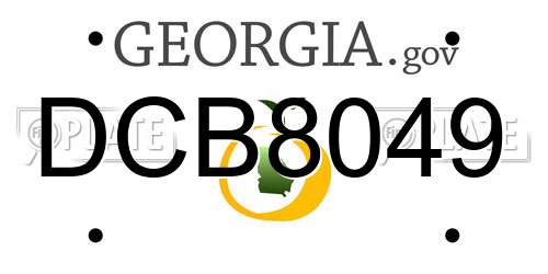 DCB8049 Georgia License Plate