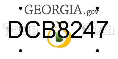 DCB8247 Georgia License Plate