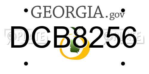 DCB8256 Georgia License Plate