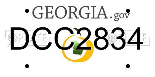 DCC2834 Georgia License Plate