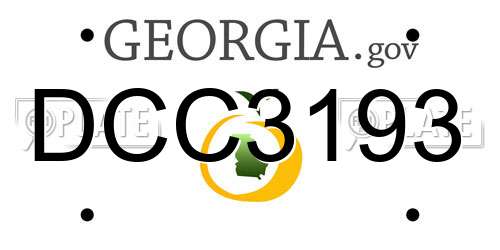DCC3193 Georgia License Plate