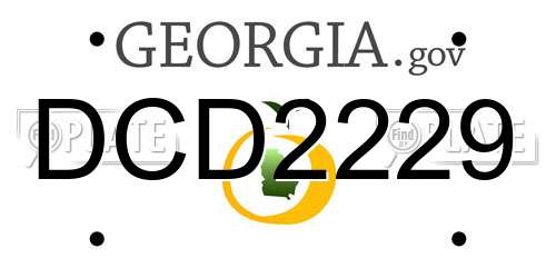 DCD2229 Georgia License Plate