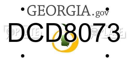 DCD8073 Georgia License Plate