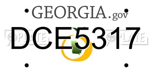 DCE5317 Georgia License Plate