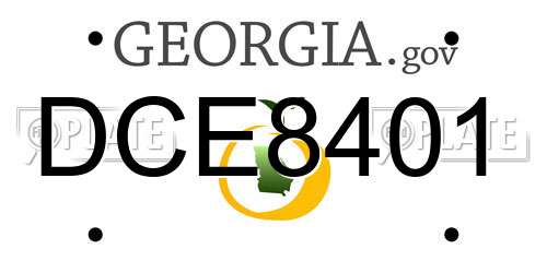 DCE8401 Georgia License Plate