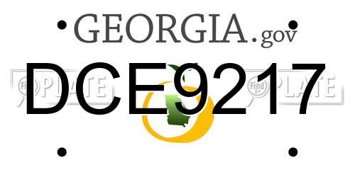 DCE9217 Georgia License Plate