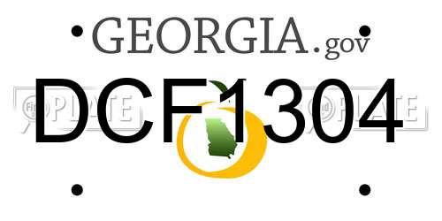 DCF1304 Georgia License Plate