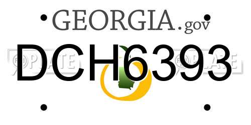 DCH6393 Georgia License Plate