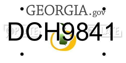 DCH9841 Georgia License Plate