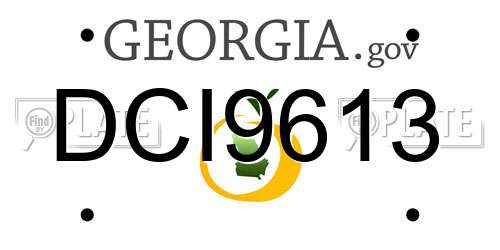 DCI9613 Georgia License Plate